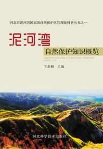 铁血青春