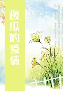假面骑士时骑的守护