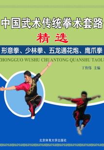 综穿之从一而终