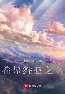 神奇宝贝：智爷传奇