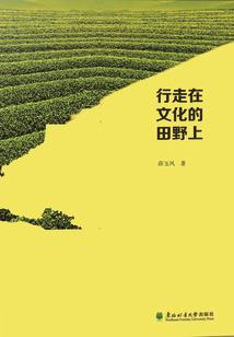 在青葱岁月里等你