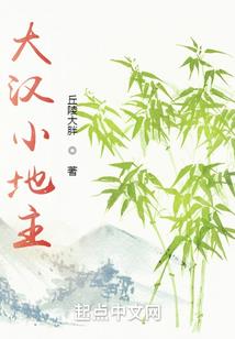 洪荒掌法者
