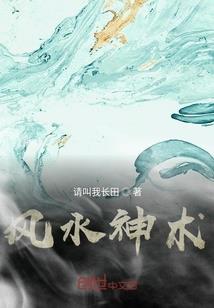 海贼之冰冻恶魔