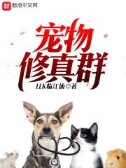 玲珑的生