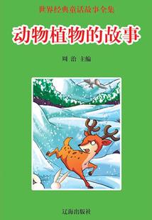 梦回缘梦