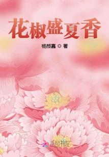 流浪的帆布鞋