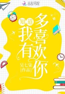 银色传说之了了传