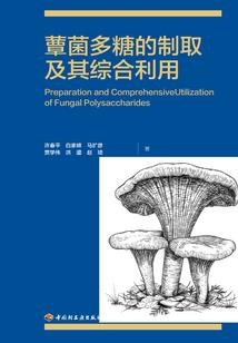 傲娇灵族：邪魅王与万恶妃