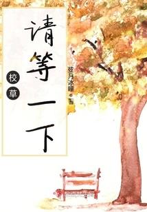 神域坠天使之争