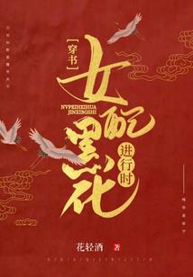 光之圣徒