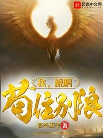 罗塔尚仰