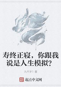 神奇宝贝之平凡的训练师