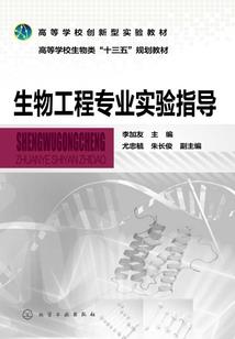 斗罗：神王降世