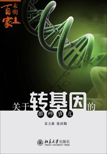 枕边故事