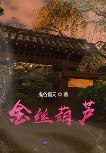 圣堂之眼