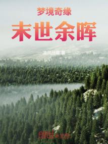 拳击手资本家