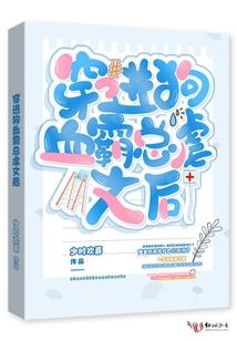 神奇宝贝之龙的传奇