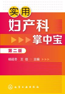 星月神话之拜见公主殿下