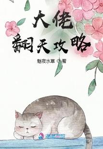 喵剑客成长记