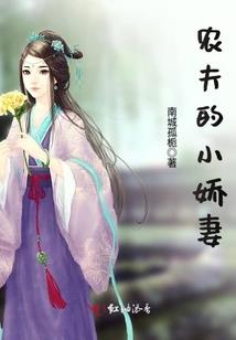 赘婿是大佬