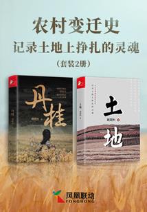 流萤逝火
