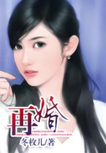 极品皇书