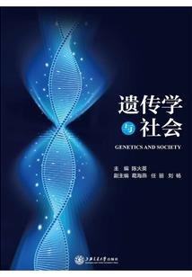 Q姐，我的新娘
