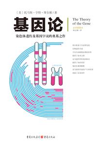 十州华门
