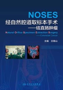 攻略者之王