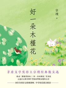 数天帝辉煌