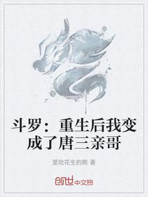 不堪回首的异界大冒险