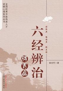 贤者境中期巅峰