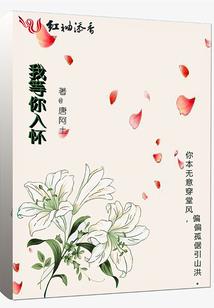 疯子私密日记
