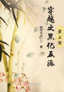 陆先生的娇妻之路