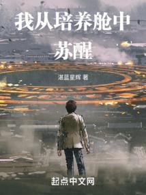 南柯惊鸿不似梦