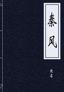王爷给本妃站住