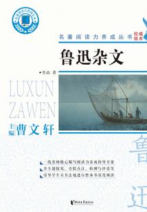 光影守候