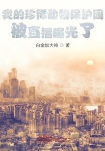 月的夜