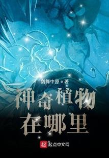 最后的余晖