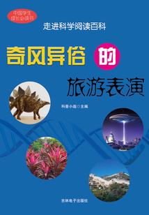 全职高手之白风沐雪