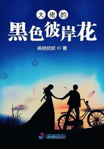 凡与蝶