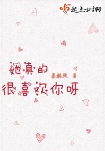 飞跃之梦：篮球青春