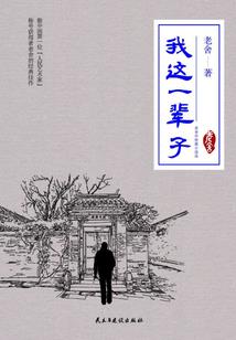 宸与天齐