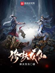 轮回之宙——浴火悲歌