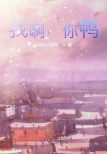 宠物世纪