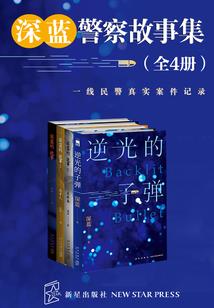 傲娇男神入我怀