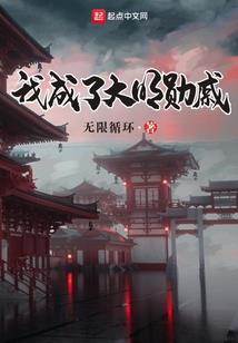 首席夫人的秘密
