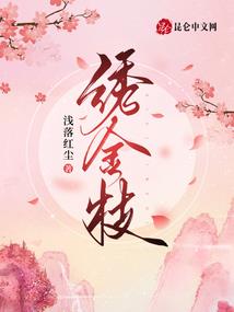 以盗制盗亦有道