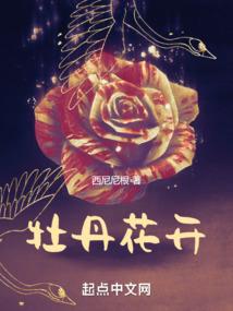 倾城鬼皇魔帝追妻忙