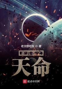 夜幕执行者